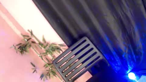 Snapshot of unknown_trans18 chatting on 04/21/26, 11:49 unknown_trans18 online show from 04/21/26, 11:49