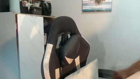 urasianfuckprincessxxx online show from 01/31/25, 09:59