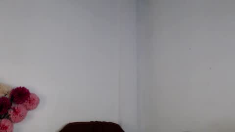 venice online show from 11/24/25, 12:54