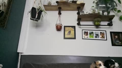 MYMY online show from 02/08/26, 03:43