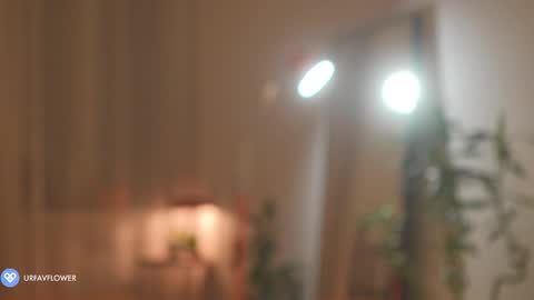 Snapshot of urfavflwers chatting on 11/09/25, 07:12 Aleksandra online show from 11/09/25, 07:12