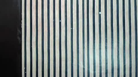 Jane online show from 02/10/25, 11:57