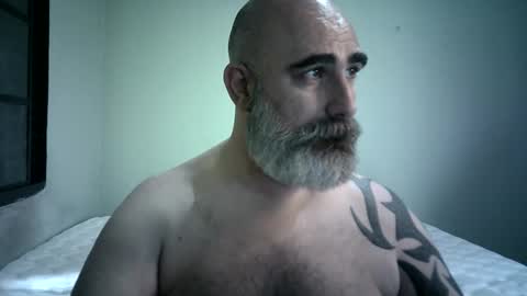 Urso1978BR online show from 12/01/25, 04:34