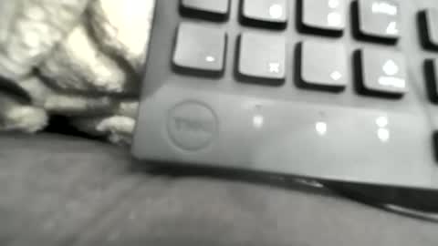 BamBam online show from 01/16/26, 03:10