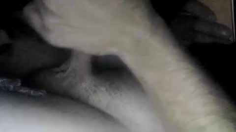 Snapshot of useabitchplz chatting on 04/22/26, 10:06 Slave bitch online show from 04/22/26, 10:06