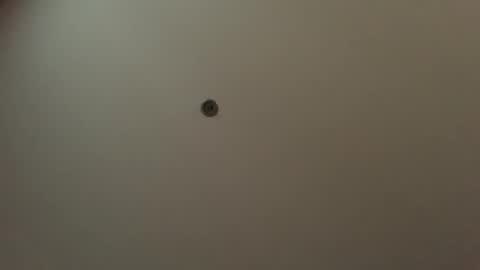 usefulhole online show from 09/23/25, 11:13