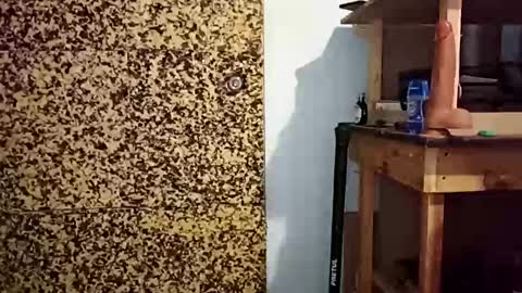 Snapshot of v3403454 chatting on 12/21/25, 01:57 v3403454 online show from 12/21/25, 01:57