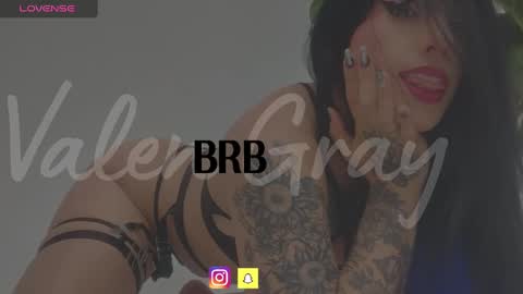 Snapshot of valengray chatting on 01/17/25, 12:42 Valen online show from 01/17/25, 12:42