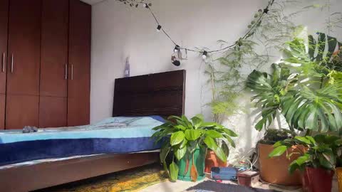   Valentin  independent Cam Boy     online show from 02/08/26, 01:47