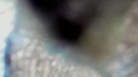 valeri_tafur online show from 10/13/25, 10:59