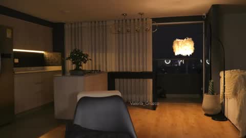 Snapshot of valeria_orozco chatting on 01/04/25, 11:17 valeria_orozco online show from 01/04/25, 11:17