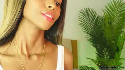 Snapshot of valery_swan1 chatting on 11/12/25, 03:29 Valery swan1 online show from 11/12/25, 03:29