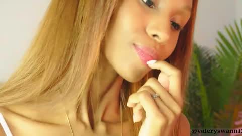 Snapshot of valery_swan1 chatting on 11/21/25, 04:55 Valery swan1 online show from 11/21/25, 04:55