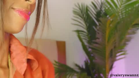 Snapshot of valery_swan1 chatting on 11/24/25, 04:07 Valery swan1 online show from 11/24/25, 04:07