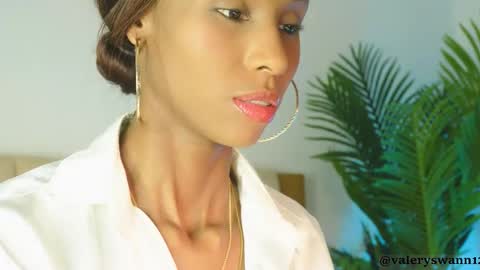 Snapshot of valery_swan1 chatting on 11/26/25, 09:43 Valery swan1 online show from 11/26/25, 09:43