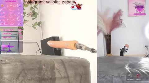 Snapshot of vallolet_smith_ chatting on 12/06/24, 08:48 yoselin online show from 12/06/24, 08:48