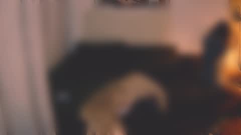 Little Devil online show from 12/07/24, 03:08