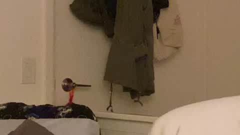 Vanessa  online show from 12/24/24, 10:33