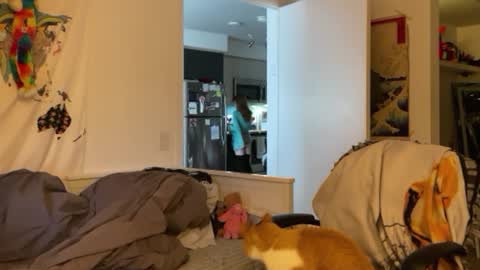 Vanessa  online show from 01/04/25, 03:07