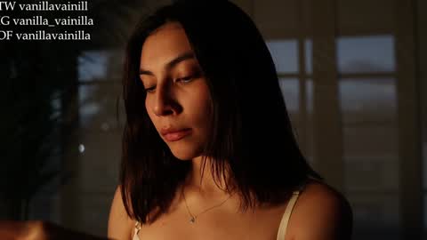 Snapshot of vanilla_velvet chatting on 01/30/25, 11:02 Annabet online show from 01/30/25, 11:02