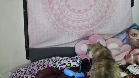 Veronica Lehane online show from 12/10/24, 07:05