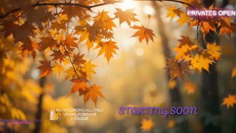 vegas_romance online show from 11/03/25, 11:59