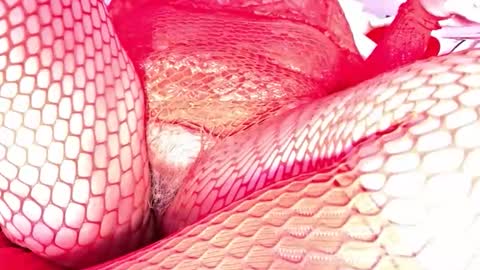 Vehe Veun online show from 12/18/25, 07:20