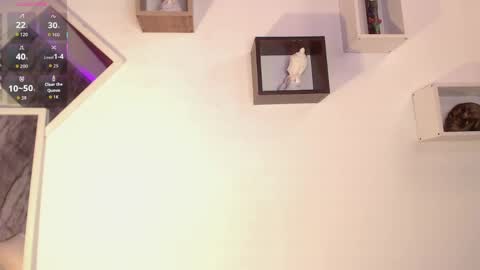 Isabella online show from 04/01/26, 08:39