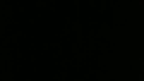 Amaia online show from 10/22/25, 12:16