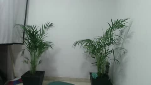 Snapshot of vennus6969 chatting on 03/05/25, 01:10 vennus6969 online show from 03/05/25, 01:10