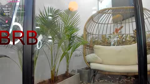 VENUS online show from 02/01/26, 01:20