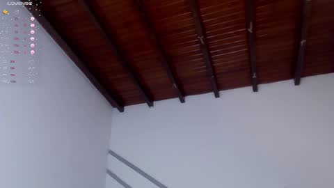 Snapshot of venusevans1 chatting on 12/28/24, 11:26 Venus Evans online show from 12/28/24, 11:26