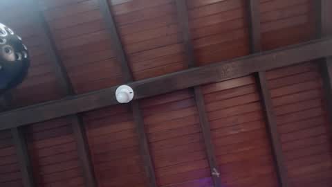 Snapshot of venusevans1 chatting on 02/12/25, 02:56 Venus Evans online show from 02/12/25, 02:56