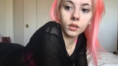 Snapshot of venustheflytrap chatting on 04/06/26, 05:03 venustheflytrap online show from 04/06/26, 05:03