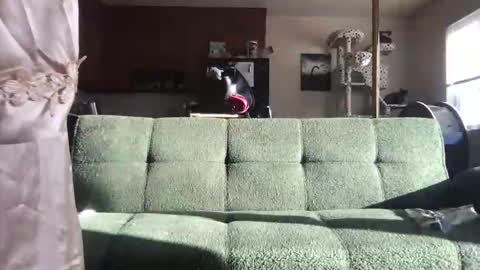 Snapshot of venustheflytrap chatting on 05/21/26, 11:23 venustheflytrap online show from 05/21/26, 11:23