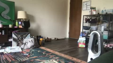 venustheflytrap online show from 07/24/26, 05:22