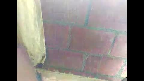 ver_gonblack online show from 12/22/24, 04:59