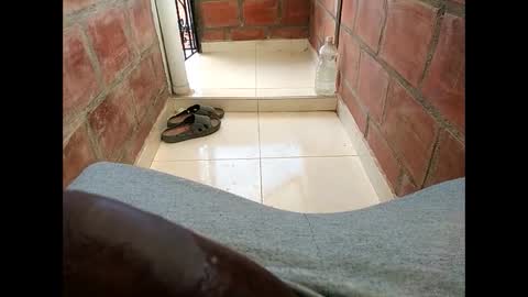 ver_gonblack online show from 02/12/25, 06:19