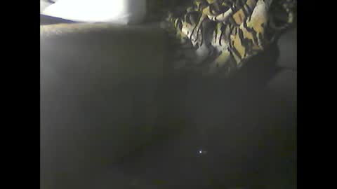 Im DanielVerdo  25 years old Lets have Fun and just ask what wanne know   tnew anal bigock cum  slave  fullnaked online show from 12/20/24, 02:52