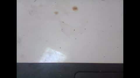 Im DanielVerdo  25 years old Lets have Fun and just ask what wanne know   tnew anal bigock cum  slave  fullnaked online show from 02/18/25, 09:21