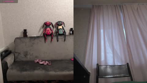 Sandra online show from 01/29/25, 08:29