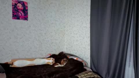 Snapshot of verocat chatting on 03/04/26, 09:10 Veronica online show from 03/04/26, 09:10