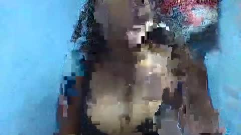 verolla31 online show from 02/02/25, 08:08