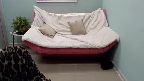 Helen online show from 03/12/25, 11:42