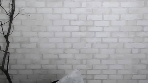 Ana online show from 12/28/24, 03:59