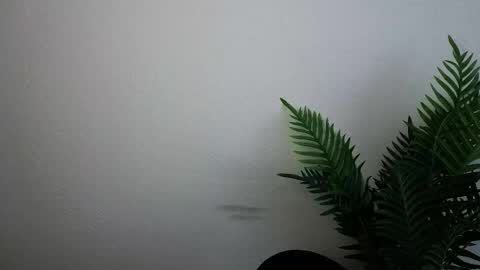 Ana online show from 09/30/25, 12:10