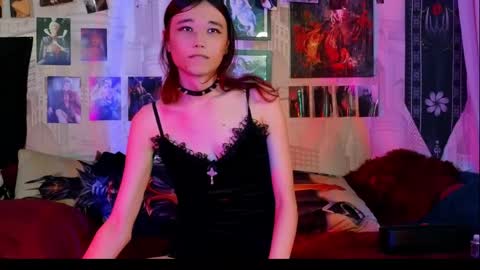 Snapshot of vetansenda chatting on 11/19/25, 10:54 Emiel online show from 11/19/25, 10:54