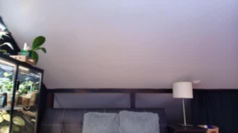 vevelicious online show from 05/02/26, 06:24