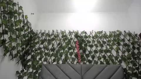 Frida online show from 11/26/25, 12:00