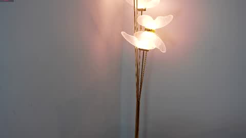 Snapshot of vicioushorse33 chatting on 04/09/26, 06:19 Sophie and Stan online show from 04/09/26, 06:19